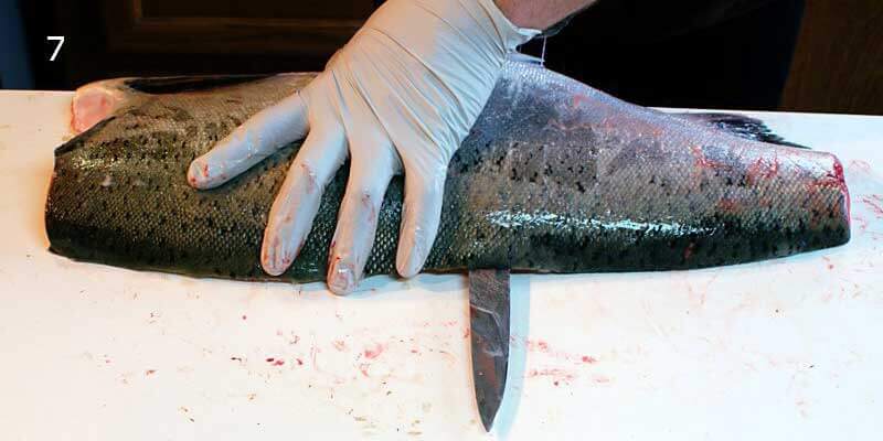 Knifestock BLOG - Cómo filetear correctamente un salmón